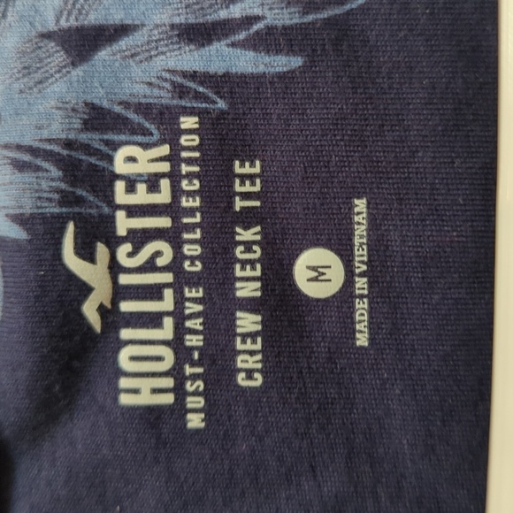 Hollister Crew Neck Tee Men's Short Sleeve Pineapple Novelty Print Tee Size Med. - Picture 2 of 4